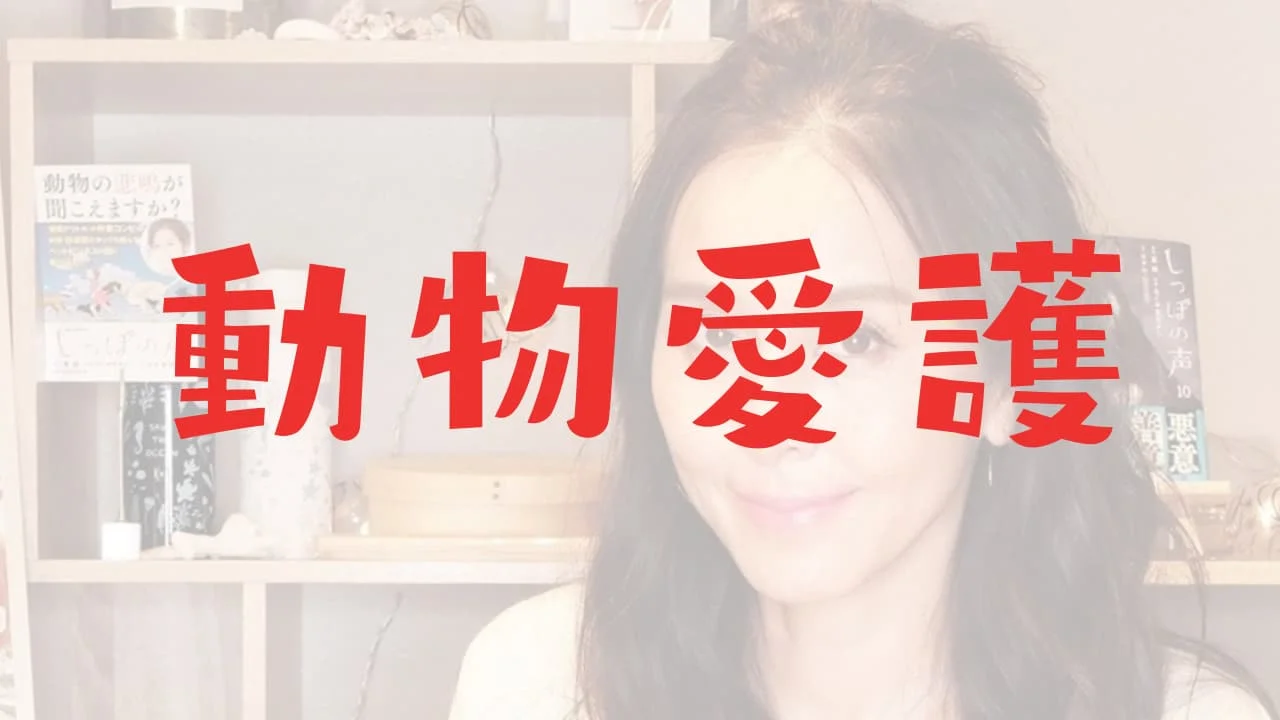 杉本彩の素晴らしい動物愛護活動まとめ！団体の内容や始めたきっかけ他